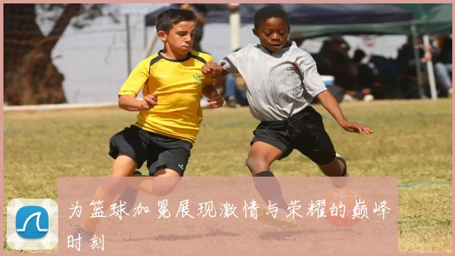 为篮球加冕展现激情与荣耀的巅峰时刻