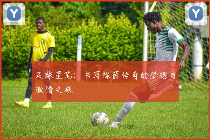 足球星笔：书写绿茵传奇的梦想与激情之旅